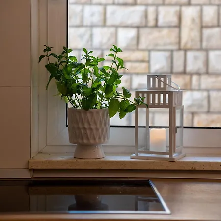 Apartman Spira Puovica